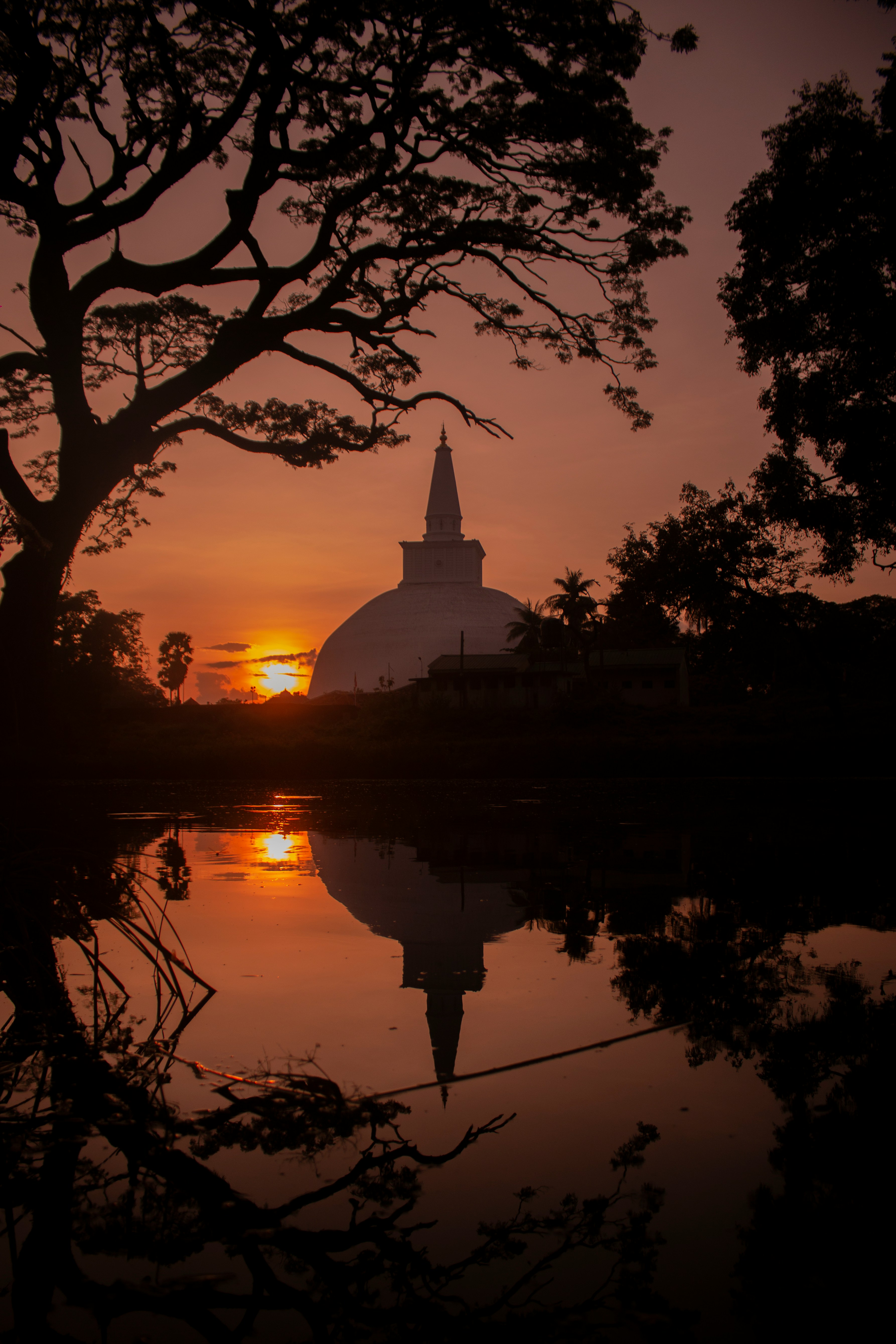 Classic Sri Lanka Discovery